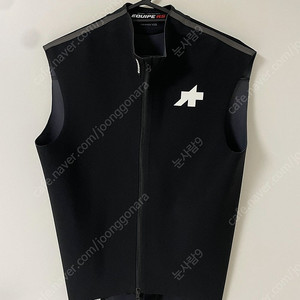 아소스 이큅 RS 봄가을 에어로 질렛 (남성L) Assos Equipe RS Spring Fall Aero Gilet