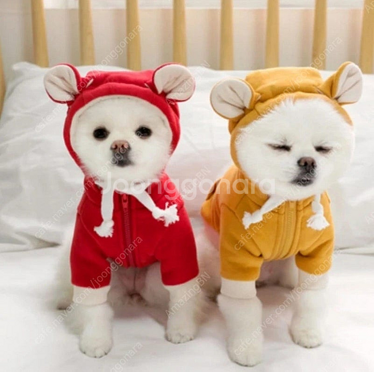 스트롤 테디 후드집업 레드 m 강아지옷--1