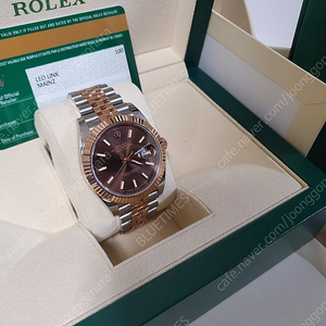 [가격인하]롤렉스 데이저스트 41mm 초코 주빌레(ROLEX DATEJUST 41MM) Model.126331 full set