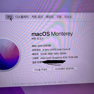 맥미니 i5 ram 32gb ssd 256gb 판매합니다