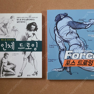 앤드류 류미스의 인체드로잉, 포스 드로잉