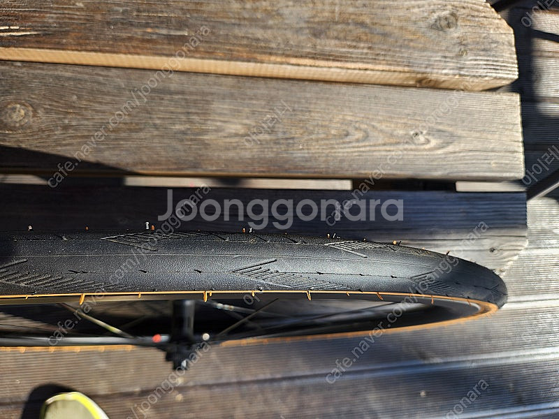 BMC slr01 순정 카본휠셋 CRD351SL--3