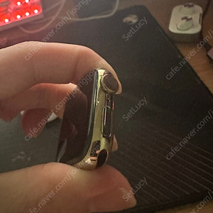 애플워치9 41mm 스테인리스골드 팝니다.