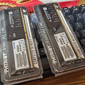 [PATRIOT] DDR5 PC5-38400 CL40 SIGNATURE 32GB RAM 램 팝니다. (2개 / 각 85,000원)