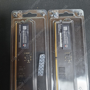 ddr5 16gb x 2 5600mhz 클레브