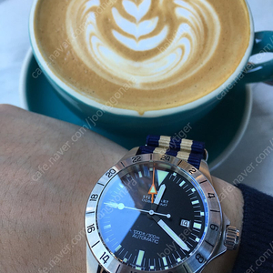 Steinhart 스테인하트 gmt 빈티지 39mm