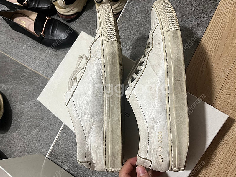 [40] 커먼프로젝트 아킬레스 로우 화이트--1