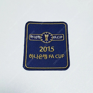 2015 하나은행 FA CUP 패치