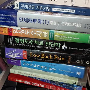 실전 임상도수치료, 요통(Low Back Pain), 도수치료기법의 완성, 인대성 관절 스트레인, 슈로스 테라피, 리엔더 테이블과 팰런스건을 이용한 도수치료 테크닉