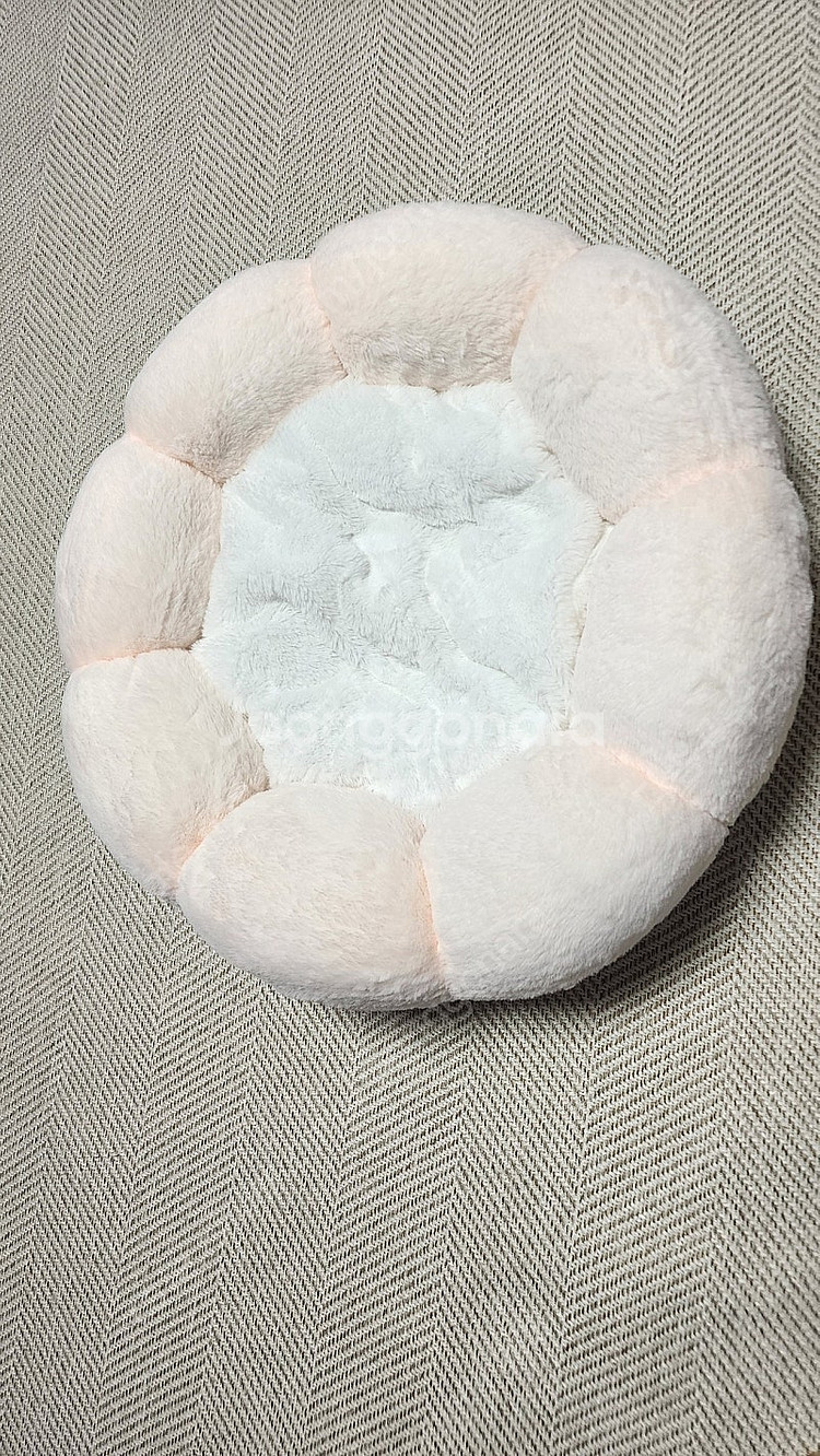 강아지 고양이 플라워방석--3
