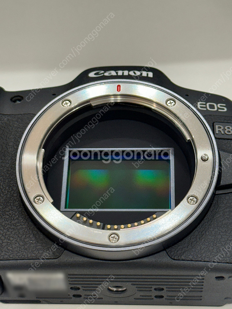 [가격인하] EOS R8 풀박스 // RF 24-70,...--5