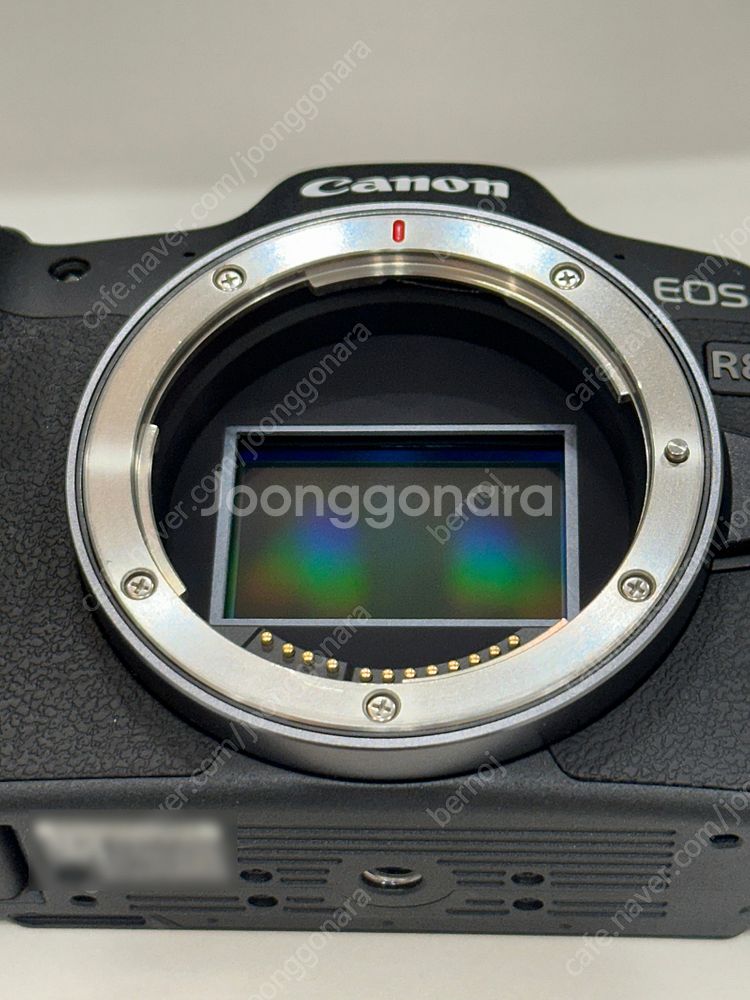 [가격인하] EOS R8 풀박스 // RF 24-70,...--6