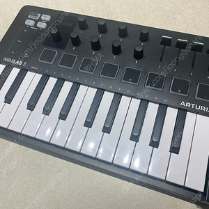 아투리아 마스터 키보드 ARTURIA MINI LAB mk3 블랙