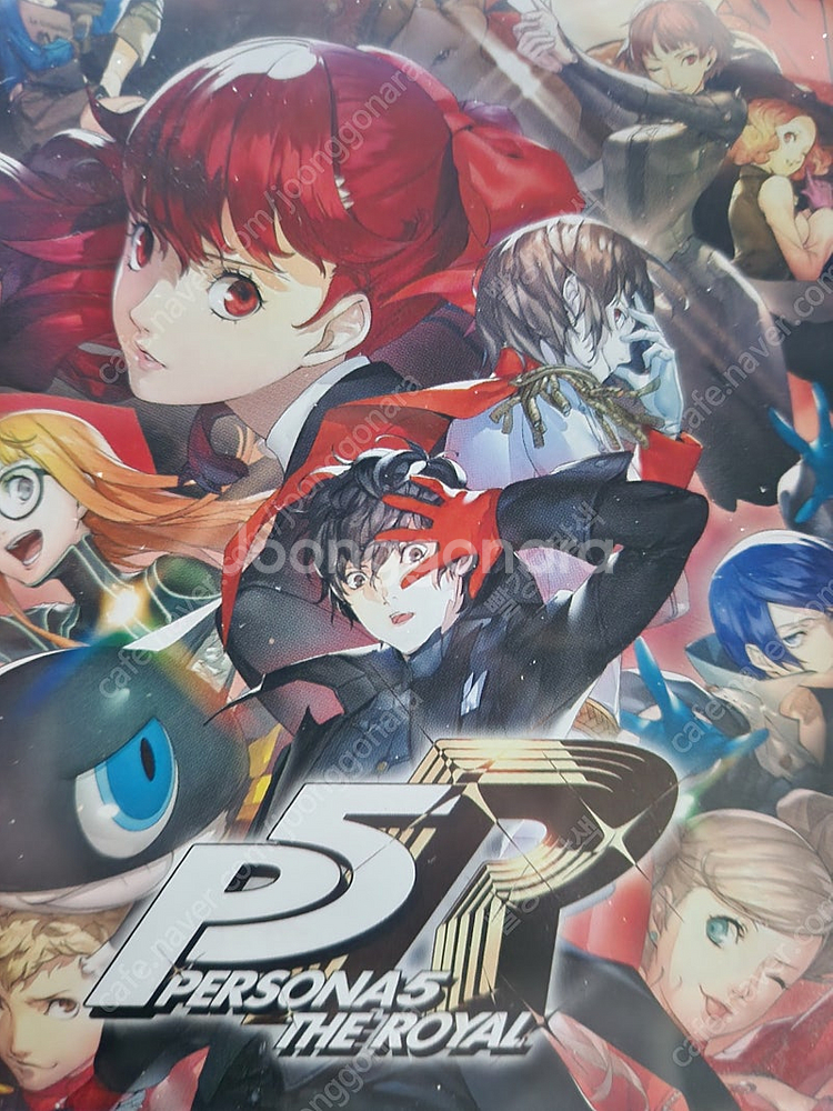 젤다 야숨, 페르소나5로얄--1