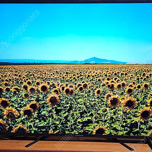 4K (UHD) 55인치 LED TV C551UHD 팝니다