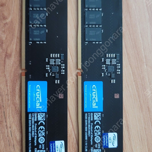 마이크론 Crucial DDR5-5600 CL46 16GB X 2