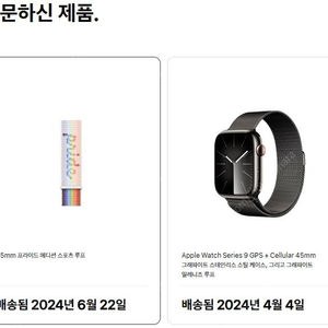 Apple Watch Series 9 GPS + Cellular 45mm 그래파이트 스테인리스 스틸 케이스, 그리고 그래파이트 밀레니즈 루프