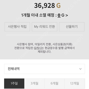 갤러리아 G캐시 30000