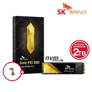 sk하이닉스 ssd p31 2tb