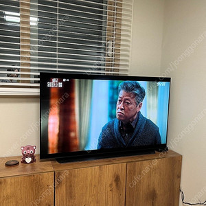 LG OLED 55인치 티비