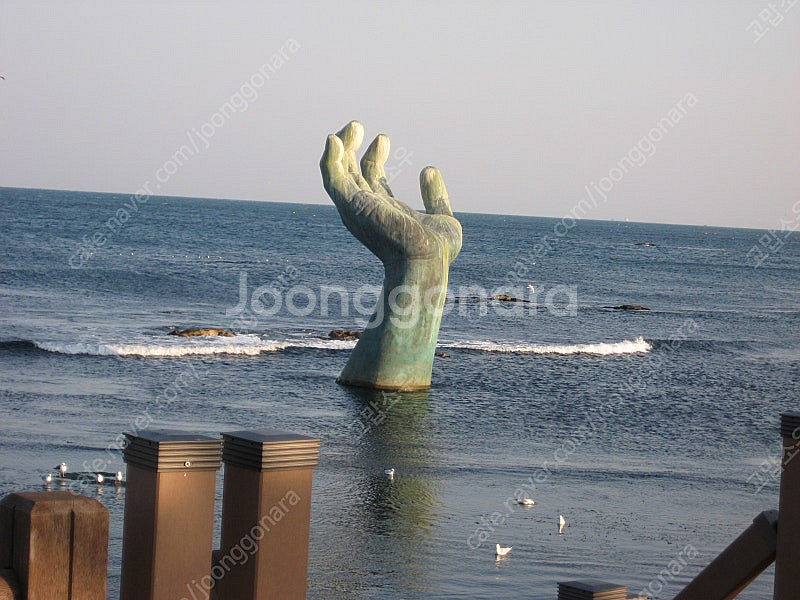 싸게가져가세요) 스타벅스 디카페인 카페 아메리카노T​--0