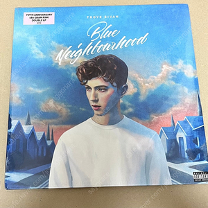 트로이시반 blue neighbourhood 핑크 lp