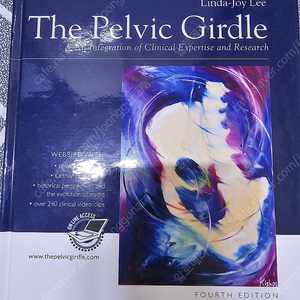 골반거들(the pelvic girdle)