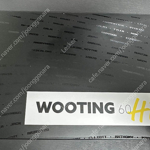 Wooting 우팅 60he+팝니다.