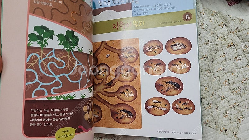 아람과학특공대 배포 13만원--5