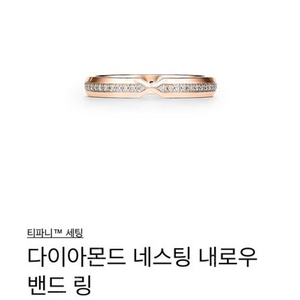 티파니앤코 다이아 네스팅 내로우 18K 반지