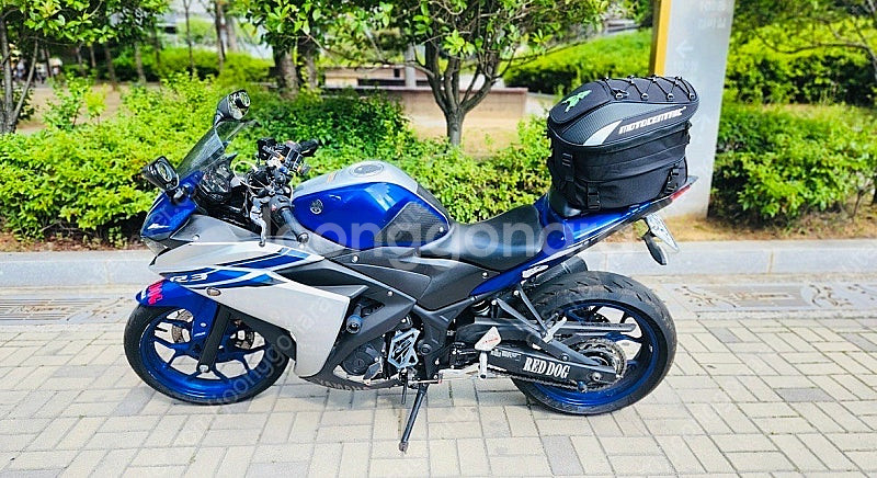 바이크 입문용 야마하YZF-R3 블루색상 2016년식--1