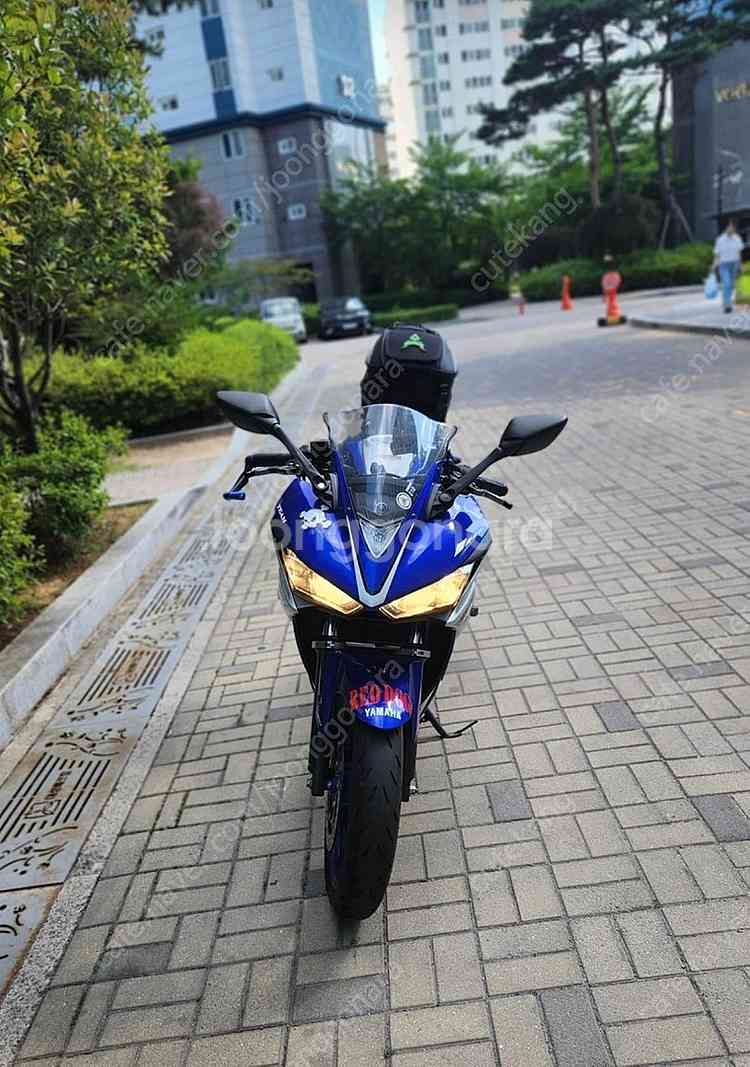 바이크 입문용 야마하YZF-R3 블루색상 2016년식--2