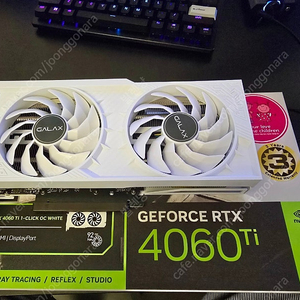 서울) 갤럭시 BOY 지포스 RTX 4060 Ti WHITE OC D6 8GB 민트급 판매합니다