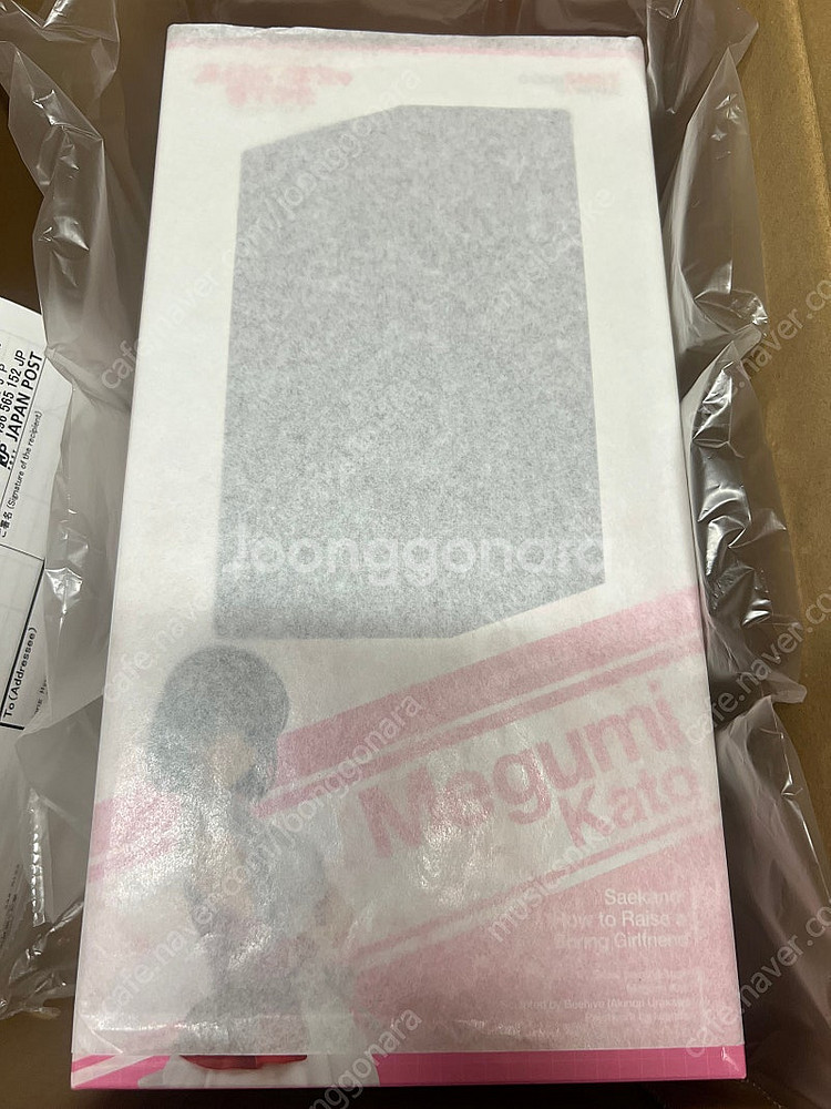 굿스마일 카토 메구미 (미개봉)--1