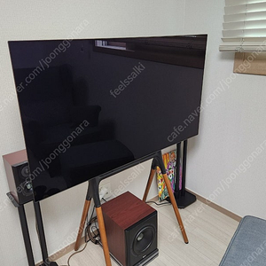 LG OLED 55 CXFNA 팝니다