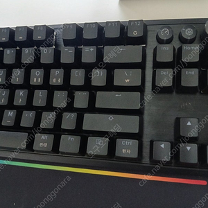 k70 pro tkl mgx 래피드트리거 판매