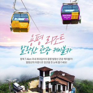 용평리조트~발왕산 케이블카 왕복권~바로사용 모바일티켓