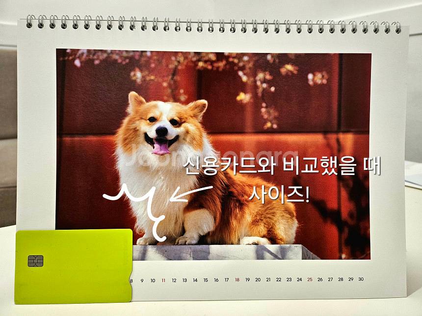 뉴진스 아이브 아이유 임영웅 굿즈--4