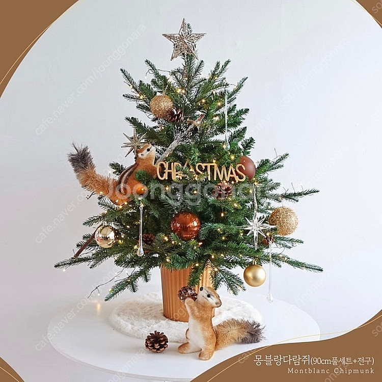 노아바 몽블랑트리--0