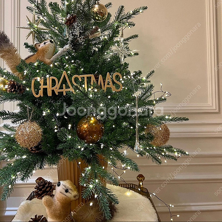 노아바 몽블랑트리--1