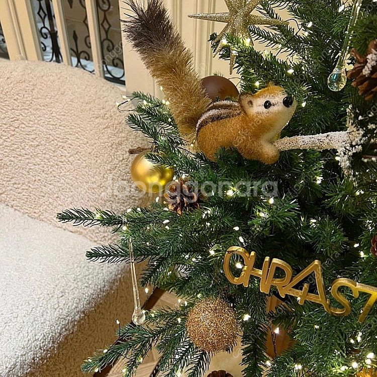 노아바 몽블랑트리--2