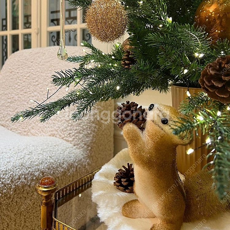 노아바 몽블랑트리--3