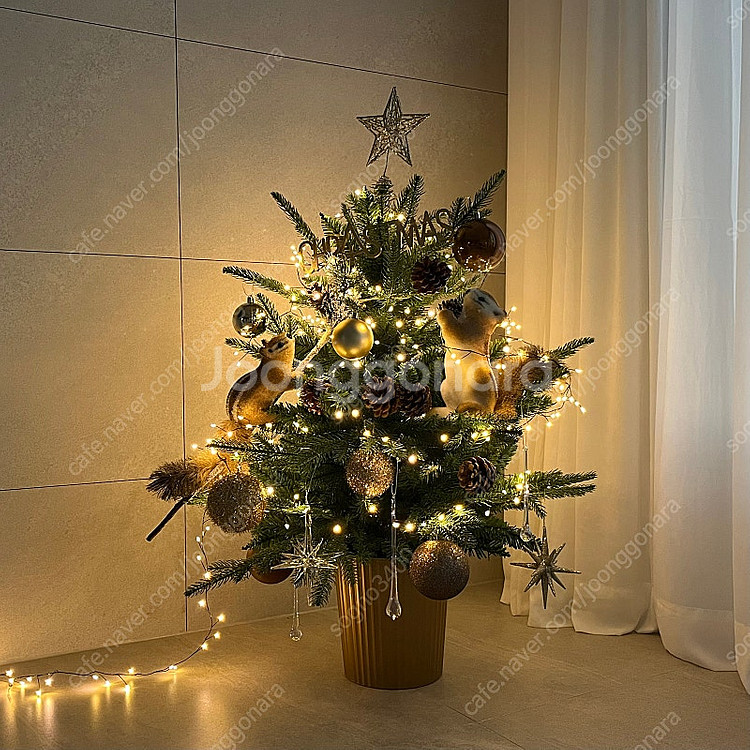 노아바 몽블랑트리--4