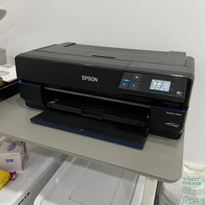 epson p-800 전문가용 사진 프린터 +정품잉크 엡손