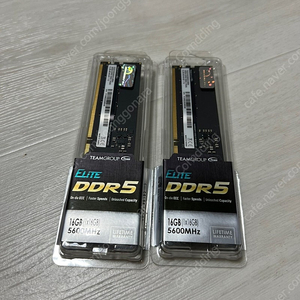 팀그룹 DDR5 5600 CL46 엘리트 16기가