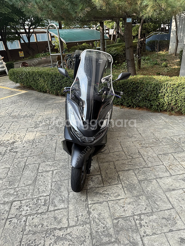 2022 pcx 125 급매--0