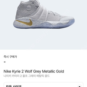 Nike Kyrie 2 Wolf Grey Metallic Gold 270사이즈 농구화