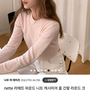 리에뜨 파운드니트 핑크색상