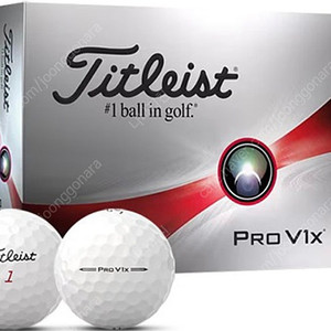 타이틀리스트 pro v1x 골프공 12구