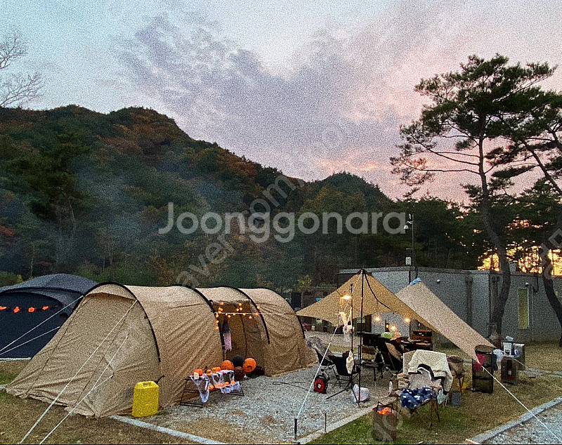 (입문자 추천) DOD 가마보코 3M 탄색 풀세트 판매...--0